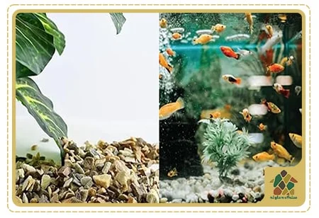 کاربردهای شن رنگی